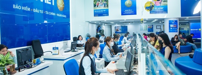 Company Banner